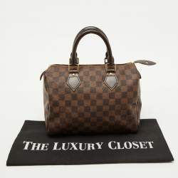 Pre Owned Louis Vuitton Damier Ebene Canvas Speedy 25 Bag