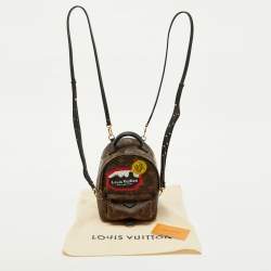 Pre Owned Louis Vuitton Monogram Canvas World Tour Palm Springs Mini Backpack