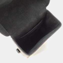 Pre Owned Louis Vuitton Camera Box Monogram Reverse Coated Canvas Shoulder Bag