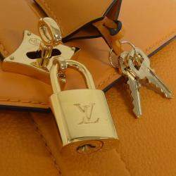 Pre Owned Louis Vuitton Rose des Vents Leather Handbag