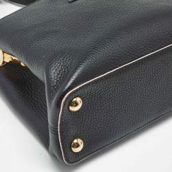 Pre Owned Louis Vuitton Black/Pink Taurillon Leather Capucines BB Bag