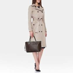 Pre Owned Louis Vuitton Damier Ebene Canvas Neverfull PM Bag