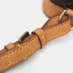 Pre Owned Louis Vuitton Mini Montsouris Monogram Coated Canvas Backpack