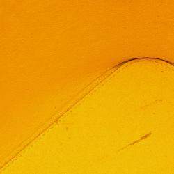 Pre Owned Louis Vuitton Yellow Epi Neverfull MM