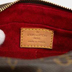 Pre Owned Louis Vuitton Brown Monogram Viva Cite MM