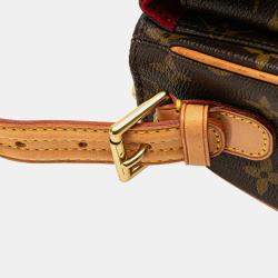 Pre Owned Louis Vuitton Brown Monogram Viva Cite MM
