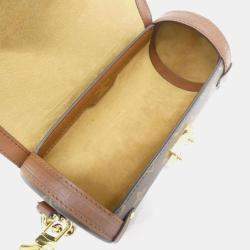 Pre Owned Louis Vuitton Papillon Trunk Monogram Coated Canvas Shoulder Bag