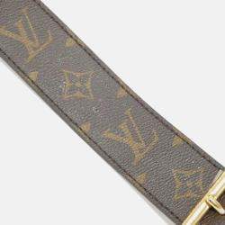 Pre Owned Louis Vuitton Papillon Trunk Monogram Shoulder Bag
