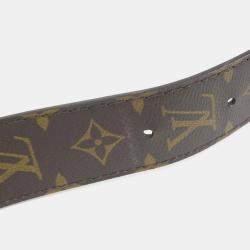 Pre Owned Louis Vuitton Papillon Trunk Monogram Canvas Shoulder Bag