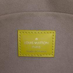 Pre Owned Louis Vuitton Yellow Epi Tricolor Pochette Felicie