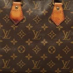 Pre Owned Louis Vuitton Monogram Canvas Alma PM Bag