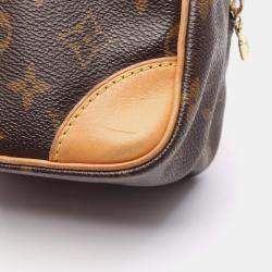 مملوكة مسبقًا Louis Vuitton Amazon Shoulder Bag  Monogram Canvas Leather Brown