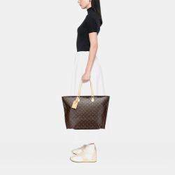 Pre Owned Louis Vuitton Brown Monogram All-In MM