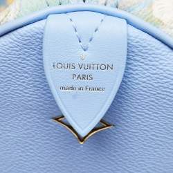 Pre Owned حقيبة لوي فيتون فان جوخ سبييدي 30 جلد ماسترز زرقاء بالتعاون مع جيف كونز