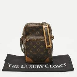 مملوكة مسبقًا Louis Vuitton Monogram Canvas and Leather Amazone Bag
