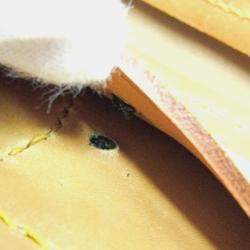 Pre Owned حقيبة بوسطن لوي فيتون مونوغرام ستيمر 35 بنية اللون