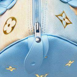Pre Owned Louis Vuitton Masters Collection Turner Speedy 30 Blue Multicolor Coated Canvas Leather Handbag
