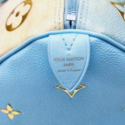 Pre Owned Louis Vuitton Masters Collection Turner Speedy 30 Blue Multicolor Coated Canvas Leather Handbag