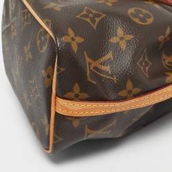 Pre Owned Louis Vuitton Monogram Canvas Nano Noe Bag