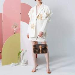 Pre Owned Louis Vuitton Monogram Canvas Hudson PM Bag