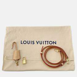 Pre Owned Louis Vuitton Alma BB Brown Monogram Canvas Shoulder Bag