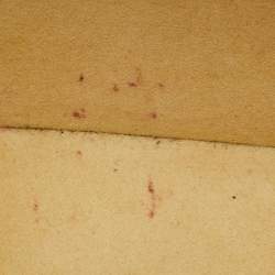 Pre Owned Louis Vuitton Monogram Canvas Valisette BB Bag