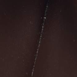 Pre Owned Louis Vuitton Damier Ebene Canvas Zippy Wallet