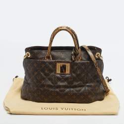 Pre Owned Louis Vuitton Monogram Canvas Limited Edition Etoile Exotique GM Bag