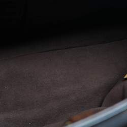 Pre Owned Louis Vuitton Monogram Canvas Limited Edition Etoile Exotique GM Bag