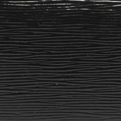 Pre Owned Louis Vuitton Black Electric Epi Leather Zippy Wallet