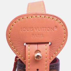 Pre Owned Louis Vuitton All In Bordeaux Monogram Size Bb