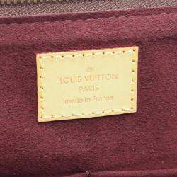 Pre Owned Louis Vuitton Estrella Brown Monogram Leather Bag