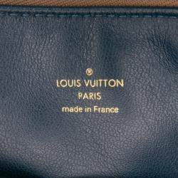 Pre Owned Louis Vuitton Brown Monogram Embossed Puffy Lambskin Coussin PM