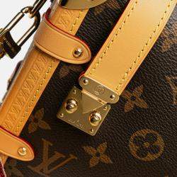 Pre Owned Louis Vuitton Brown Monogram Side Trunk MM
