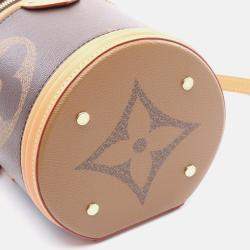 Pre Owned Louis Vuitton Cannes Shoulder Handbag  Monogram Giant Reverse Canvas
