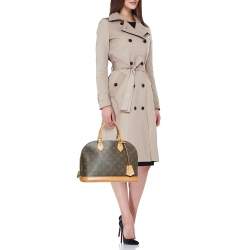 Pre Owned Louis Vuitton Monogram Canvas Alma PM Bag