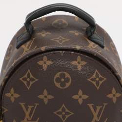 Pre Owned Louis Vuitton Monogram Canvas Mini Palm Springs Backpack