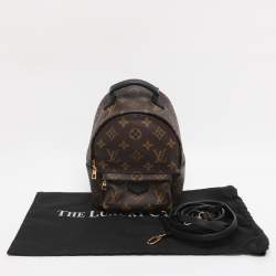 Pre Owned Louis Vuitton Monogram Canvas Mini Palm Springs Backpack