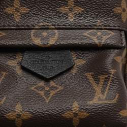 Pre Owned Louis Vuitton Monogram Canvas Mini Palm Springs Backpack