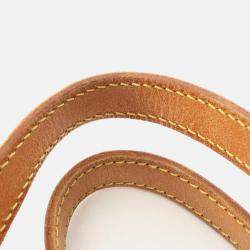 Pre Owned Louis Vuitton Bucket GM Shoulder Bag Monogram Canvas Brown