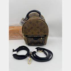 Pre Owned Louis Vuitton Monogram Canvas Mini Palm Springs Backpack