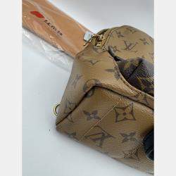 Pre Owned Louis Vuitton Monogram Canvas Mini Palm Springs Backpack