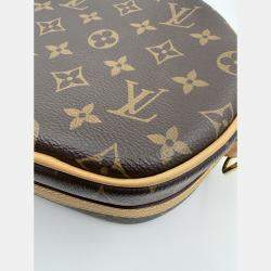 Pre Owned Louis Vuitton Brown Monogram Boite Chapeau Souple PM