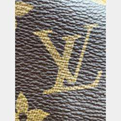 Pre Owned Louis Vuitton Brown Monogram Boite Chapeau Souple PM
