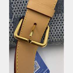 Pre Owned Louis Vuitton Blue Damier Denim Canvas 3D