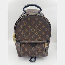 Pre Owned Louis Vuitton Palm Springs PM Monogram Canvas Backpack