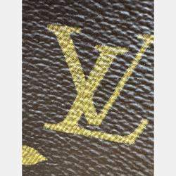Pre Owned Louis Vuitton Carryall Bordeaux Monogram Size PM