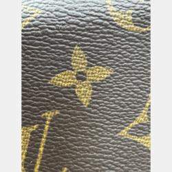 Pre Owned Louis Vuitton Monogram Canvas Pochette Felicie Bag