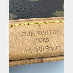 Pre Owned Louis Vuitton Brown Monogram Canvas Nano Noe Shoulder Bag