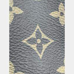 Pre Owned Louis Vuitton Brown Monogram Canvas Nano Noe Shoulder Bag